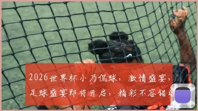 2026世界杯小乃侃球，激情盛宴，足球盛宴即将开启，精彩不容错过