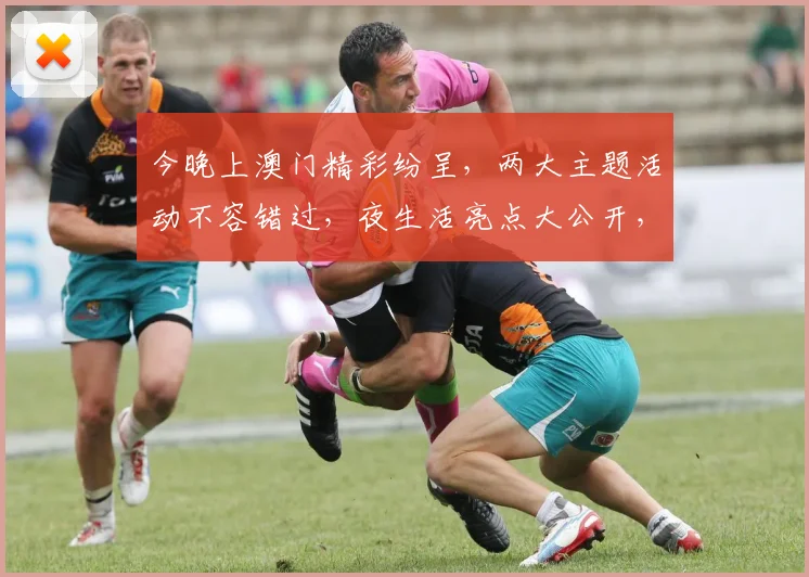 今晚上澳门精彩纷呈，两大主题活动不容错过，夜生活亮点大公开，速来围观