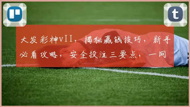 大发彩神vII，揭秘赢钱技巧，新手必看攻略，安全投注三要点，一网打尽