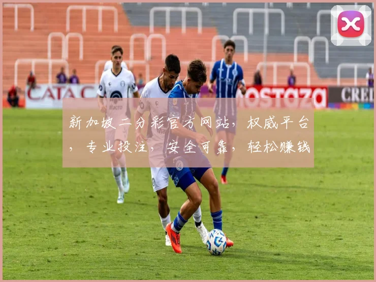 新加坡二分彩官方网站，权威平台，专业投注，安全可靠，轻松赚钱之道，二分彩必看指南，不容错过